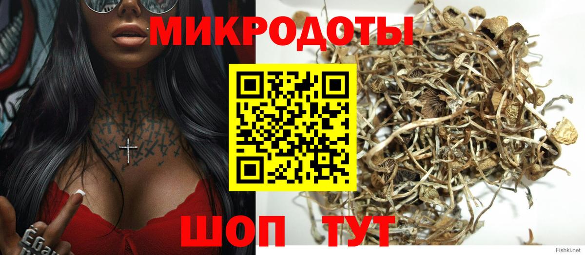 как найти наркотики  Галлюциногенные грибы MAGIC MUSHROOMS  Вход с VPN  Псилоцибиновые грибы MAGIC MUSHROOMS  Прохладный 