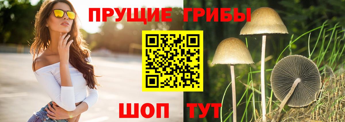 Псилоцибиновые грибы мицелий Прохладный